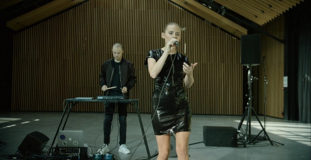 Video Reference: performance, musician, performance art, musical instrument, audio, stage, music, Person