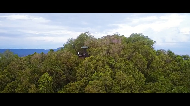 Video Reference: vegetation, sky, nature, ecosystem, nature reserve, tree, wilderness, mountainous landforms, forest, hill