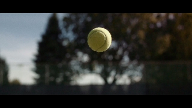 Video Reference: Nature, Sky, Daytime, Atmosphere, Light, Yellow, Moon, Sphere, Sunlight, Tree