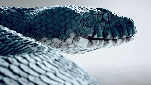 Video Reference: Water, Reptile, Jaw, Close-up, Organism, Illustration, Crocodilia, Nile crocodile, Rock