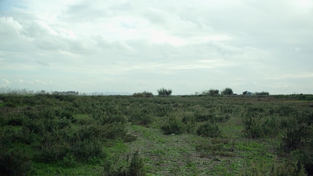 Video Reference: Vegetation, Natural environment, Grassland, Natural landscape, Pasture, Land lot, Plain, Shrubland, Nature reserve, Prairie, Person