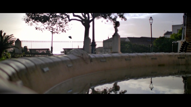 Video Reference: water, reflection, tree, sky, urban area, plant, water feature, evening