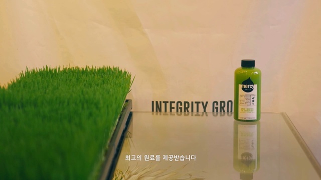 Video Reference: green, grass, product, product, grass family, bottle, liquid, plant, glass bottle
