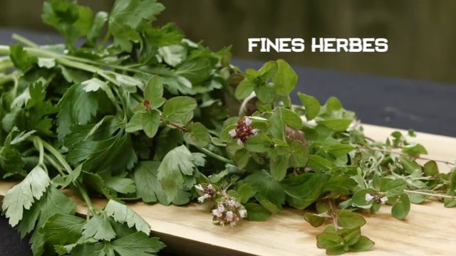 Video Reference: plant, herb, leaf vegetable, spring greens, Person