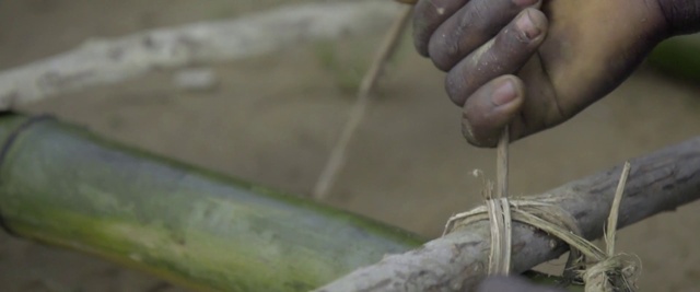 Video Reference: Water, Hand