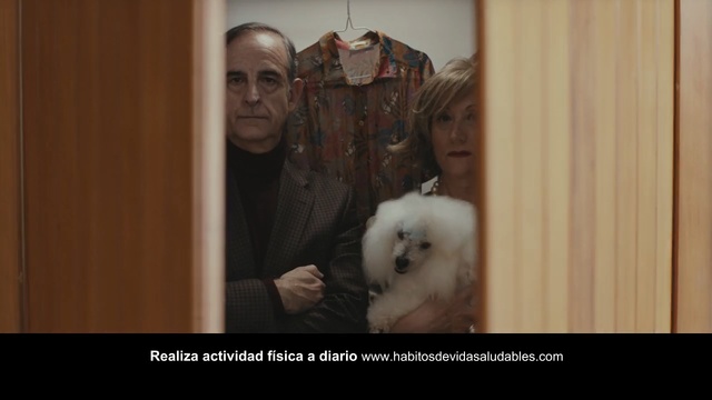 Video Reference: dog, canine, cat, pet, domestic animal, kitten, cute, fur, feline, domestic, animals, eyes, kitty, furry, pets, fluffy, adorable, Person