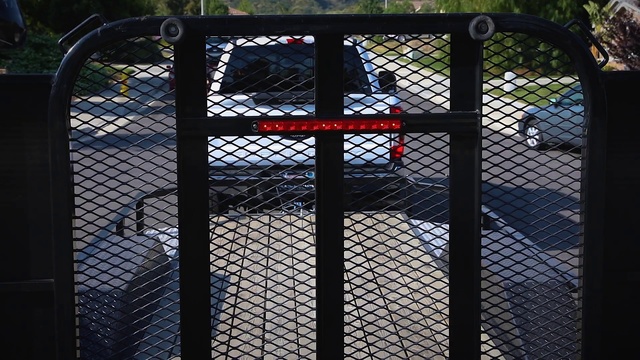 Video Reference: Wire fencing, Chain-link fencing, Mesh, Iron, Metal, Net, Architecture, Fence, Outdoor, Building, Table, Sitting, Large, Area, Man, Black, Standing, Food, Red, White, Parked, Bird, Gate, Glass, Dog, Enclosure, Woman, Zoo, Holding, Umbrella, Field, Room, Street, Ball, People, City, Blue, Bed, Riding, Window