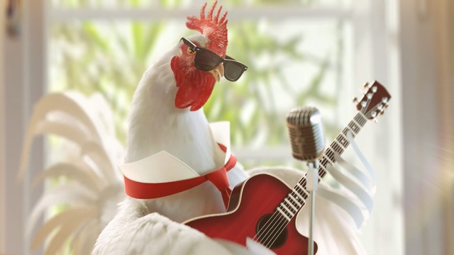 Video Reference: Rooster, Chicken, Santa claus, Guitar, Christmas, Bird, Galliformes