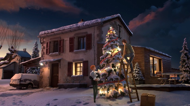 Video Reference: snow, winter, home, house, sky, night, evening, tree, building, freezing, Person