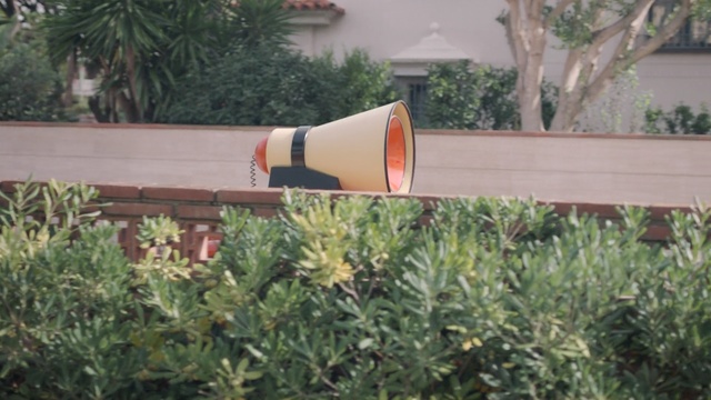 Video Reference: plant, grass, tree, outdoor structure, wood, Person