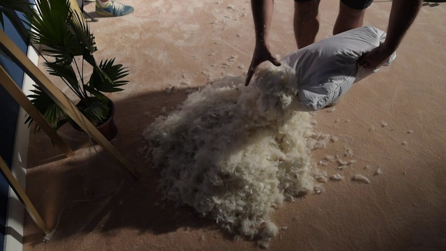 Video Reference: Fawn