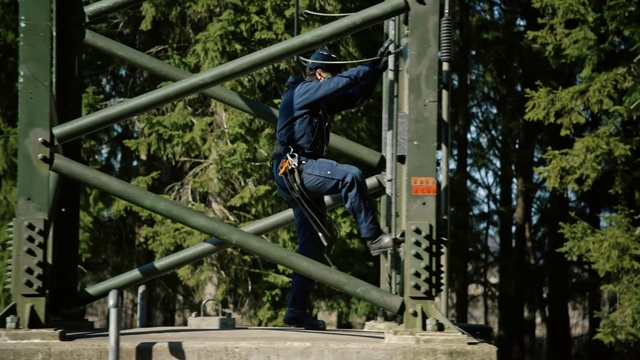 Video Reference: Tree, Recreation, Plant, Leisure, Street stunts, Person