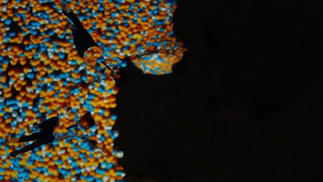 Video Reference: Blue, Orange, Organism, Macro photography