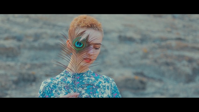 Video Reference: feather, eye, organism, beak, water, screenshot, sky