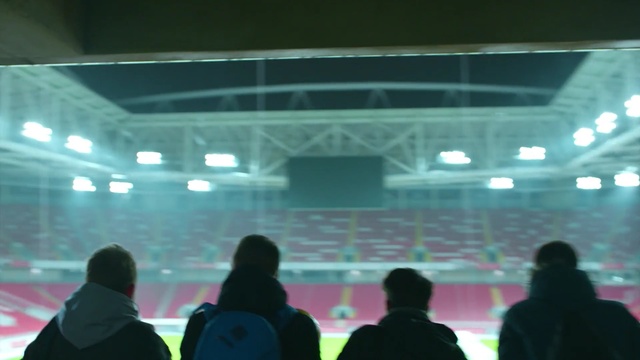 Video Reference: sport venue, green, structure, light, crowd, auditorium, stage, audience, lighting, arena, Person