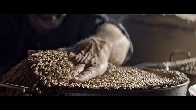 Video Reference: Cat, Felidae, Whiskers, Small to medium-sized cats, Organism, Tabby cat, Hedgehog, Kitten, Litter box, Erinaceidae