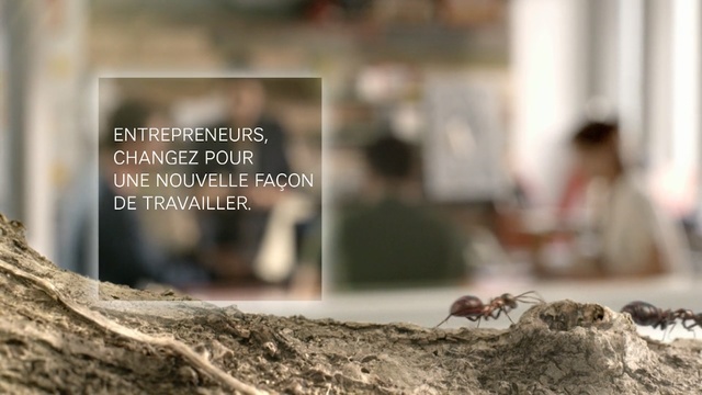 Video Reference: photo caption, Person