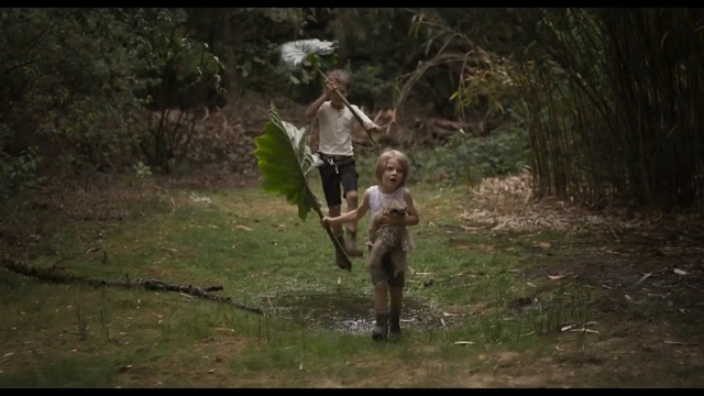 Video Reference: Woodland, Jungle, Fun, Grass, Forest, Tree, Adaptation, Screenshot, Photography, Wildlife