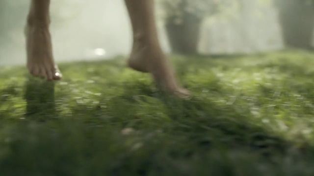 Video Reference: People in nature, Nature, Green, Grass, Natural environment, Atmospheric phenomenon, Sunlight, Tree, Leg, Morning