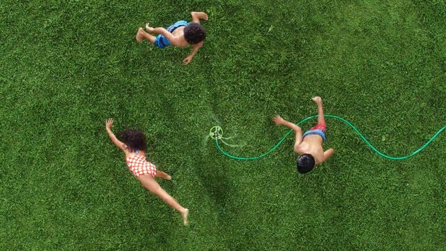 Video Reference: Grass, Green, Lawn, Fun, Grass, Leisure, Summer, Plant, Recreation, Meadow