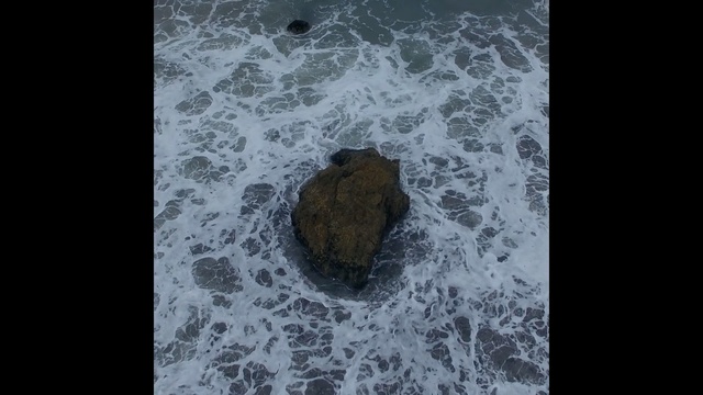 Video Reference: water, organism, rock, freezing