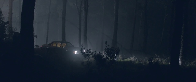 Video Reference: Atmospheric phenomenon, Sky, Darkness, Tree, Night, Atmosphere, Screenshot, Fog, Midnight, Mist