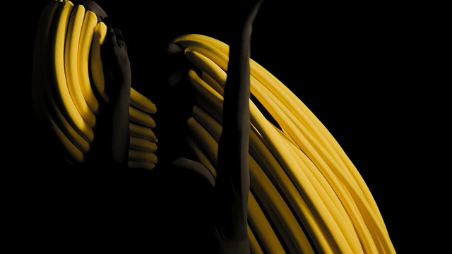 Video Reference: Yellow, Close-up, Garden hose, Still life photography, Plant, Macro photography, Photography