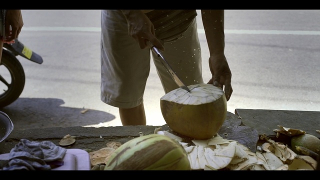 Video Reference: Automotive wheel system, Coconut water, Art, Person