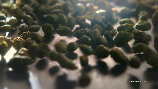 Video Reference: Organism, Close-up, Plant, Photography, Pattern, Pollen