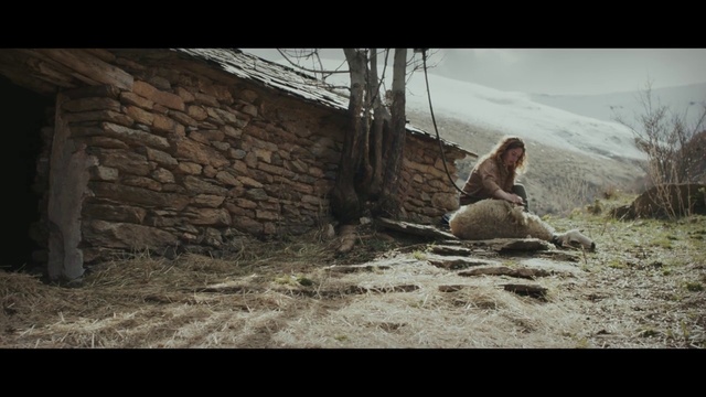 Video Reference: Adaptation, Human, Screenshot, Tree, Digital compositing, Photography, Landscape, Soil, Fawn