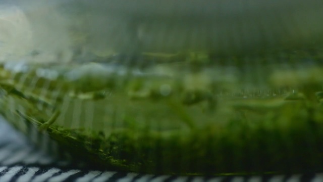 Video Reference: Green, Water, Leaf, Close-up, Grass, Macro photography, Botany, Grass, Plant, Organism