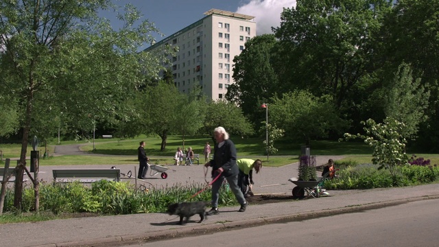 Video Reference: Dog walking, Public space, Neighbourhood, Residential area, Asphalt, Grass, Walking, Leash, Pedestrian, Street