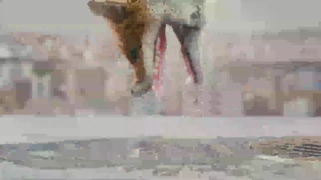 Video Reference: mammal, mode of transport, geological phenomenon, watercolor paint, Person