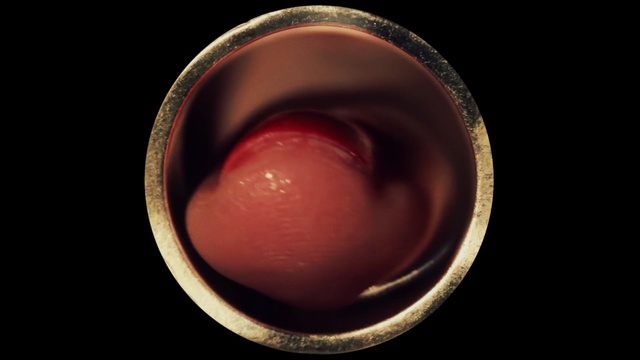 Video Reference: close up, eye, macro photography, mouth, organ, ear, lip