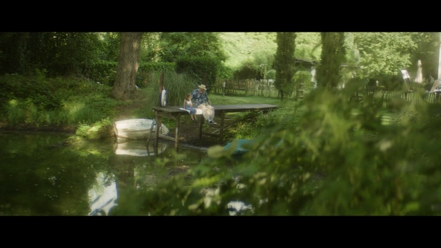 Video Reference: Nature, Natural environment, Woodland, Water, Nature reserve, Forest, Vegetation, Reflection, Green, Wilderness