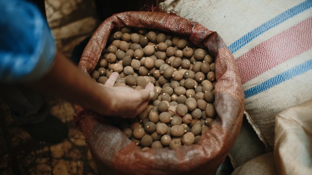 Video Reference: Food, Plant, Vegetable, Legume, Bean, Cuisine, Produce, Allspice, Vigna subterranea, Fruit, Person