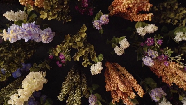 Video Reference: Flower, Plant, Lilac, Lilac, Flowering plant, buddleia, Violet, Botany, Hydrangea, Hydrangeaceae