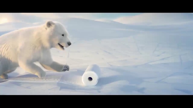 Video Reference: Polar bear, Mammal, Bear, Vertebrate, Polar ice cap, Natural environment, Arctic, Polar bear, Atmospheric phenomenon, Carnivore