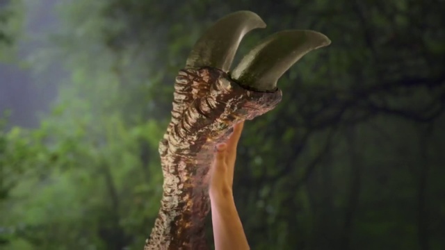 Video Reference: Nature, Tree, Wildlife, Terrestrial animal, Adaptation, Trunk, Branch, Organism, Plant, Terrestrial plant