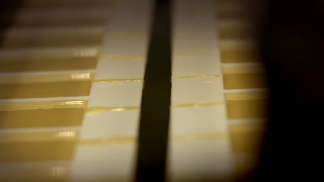 Video Reference: Yellow, Light, Line, Tints and shades, Wood, Shadow