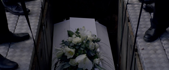 Video Reference: White, Flower, Bouquet, Plant, Flower Arranging, Petal, Floral design, Floristry, Cut flowers, Still life photography