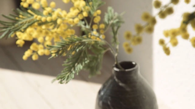 Video Reference: vase, flowerpot, still life, still life photography, herb, twig, Person