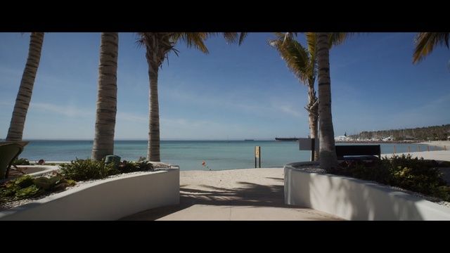 Video Reference: Sky, Tree, Sea, Property, Palm tree, Horizon, Vacation, Water, Arecales, Shore