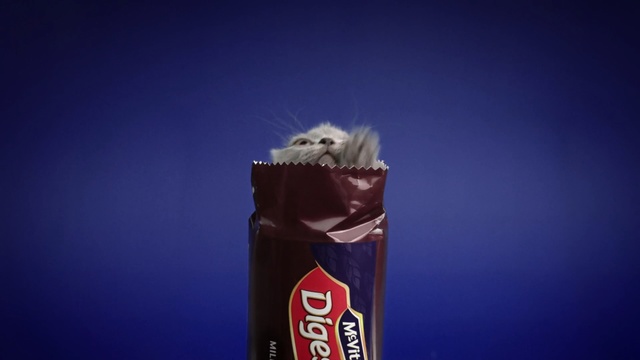 Video Reference: sky, product, drink, computer wallpaper