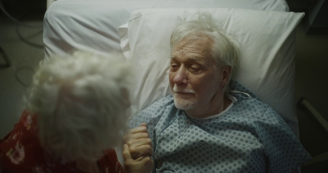 Video Reference: Grandparent, Skin, Head, Wrinkle, Human, Elder