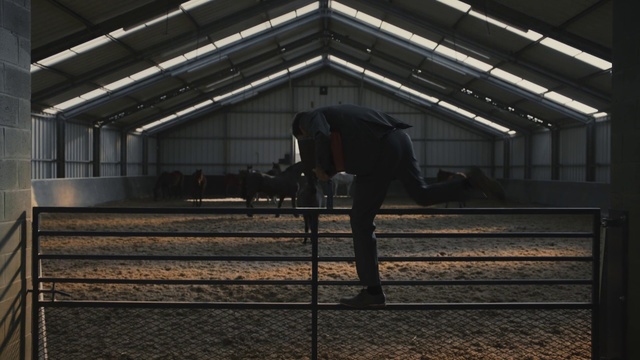Video Reference: Standing, Architecture, Photography, Metal, Shadow, Darkness, Steel, Floor, Building, Fence, Indoor, Horse, Man, Pen, Stable, Black, Bench, Woman, Barn, White, Enclosure, Holding, Jumping, Track, Doing, Room, Trick, Luggage, Ground, Footwear, Ceiling, Person, Clothing, Farm building