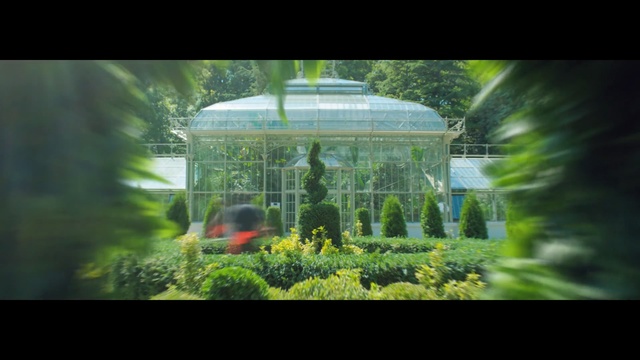 Video Reference: Green, Nature, Greenhouse, Botany, Biome, Leaf, Botanical garden, Garden, Organism, Plant, Person