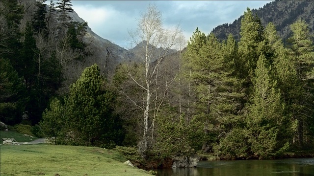 Video Reference: nature, wilderness, ecosystem, nature reserve, mountainous landforms, water, vegetation, tarn, mountain, tree