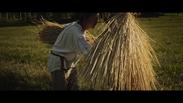 Video Reference: People in nature, Grass family, Agriculture, Straw, Plant, Adaptation, Photography, Crop, Stock photography, Harvest