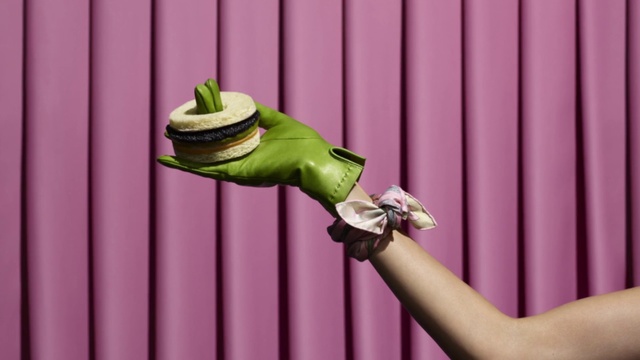 Video Reference: Green, Purple, Hand, Plant